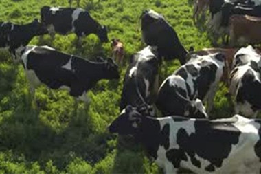 Indications For Nocytide